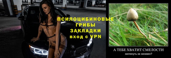 МДПВ Армянск