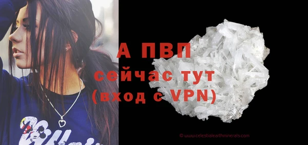 соль ск Арсеньев