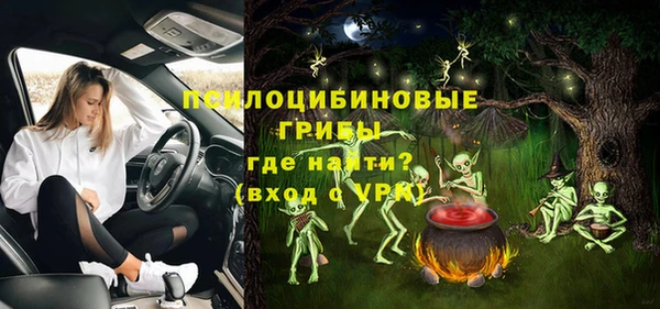 соль ск Арсеньев