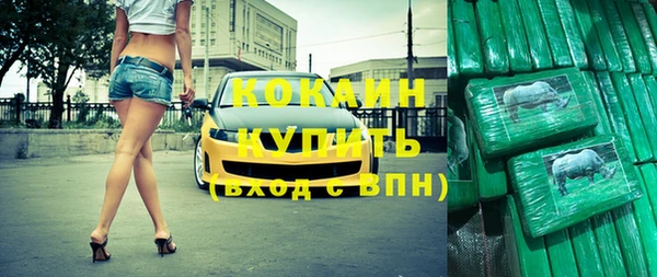 соль ск Арсеньев