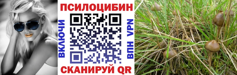 продажа наркотиков Остров Галлюциногенные грибы GOLDEN TEACHER